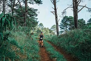 BIB: 
                            <button type="button" onclick="openModal(25653308)" class="btn btn-primary btn-sm float-right btn-popup" data-toggle="modal" data-target=".modal-high-quality">
                        <i class="fas fa-shopping-cart"></i> Add to Cart
                    </button>
                                            <button type="button" onclick="isThisMe(25653308, true)" class="btn btn-success btn-sm float-right btn-popup btn-isme hidden" data-toggle="tooltip" data-placement="bottom" title="นี่คือรูปของคุณใช่ไหม คลิกที่นี่เพื่อเอาเข้าอัลบั้ม">
                        <i class="fas fa-plus"></i> Add to album
                    </button>
                    <button type="button" onclick="isThisMe(25653308, false)" class="btn btn-warning btn-sm float-right btn-popup btn-isnotme hidden">
                        <i class="fas fa-ban"></i> Remove from album
                    </button>